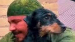 Трогательная история спасения собаки в Орске
