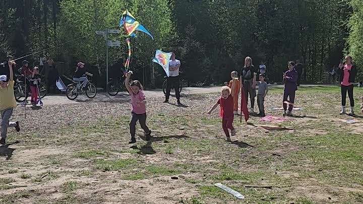 В Мытищах запускали воздушных змеев