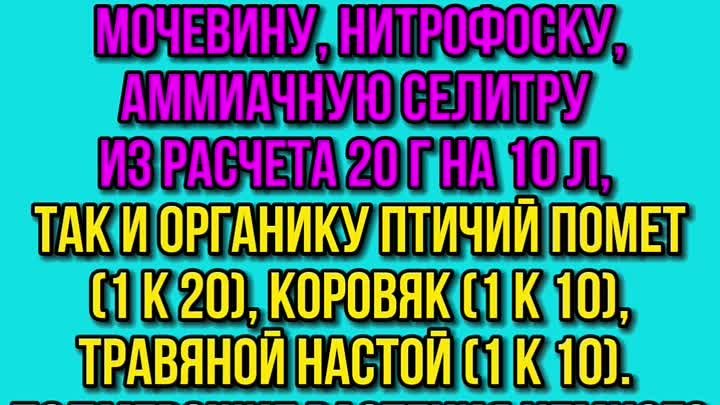 восстанавливаем растение после заморозков