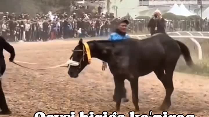 🐎😰😨😨😨