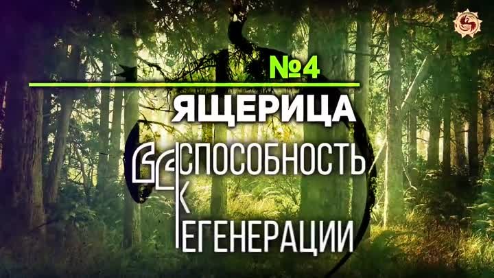 10 УРОКОВ МУДРОСТИ ОТ ПРИРОДЫ , КОТОРЫЕ СТОИТ ВЫУЧИТЬ КАЖДОМУ