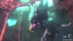 &quot;Hardeep Wreck&quot; in Samaesan | Diving in Pattaya, Thailand