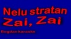 Nelu Stratan - zai zai  karaoke