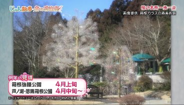じゅん散歩 240318 動画 | 2024年3月18日