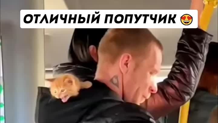 Отличный попутчик