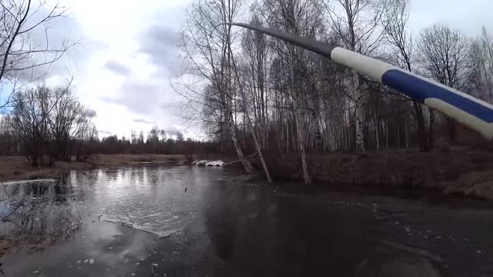 СКОЛЬКО РЫБЫ В ЭТИХ ЗАКУТКАХ. РЫБАЛКА НА БОКОВОЙ КИВОК ВЕСНОЙ