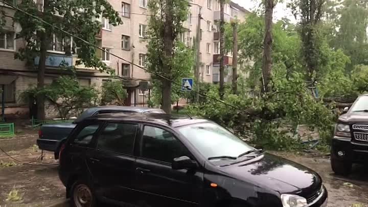 В Воронеже из-за урагана массово падают деревья