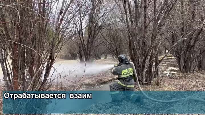 Видео 