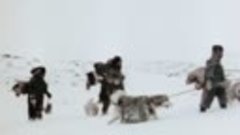 La Saga des Inuit 1-4 (2007) Jean Malaurie