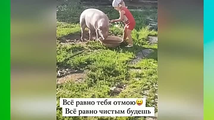 Всё равно я тебя искупаю!