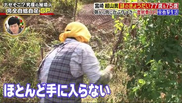 ナゼそこ？ 240321 動画 宮崎の山奥！崩落した悪道の先 | 2024年3月21日