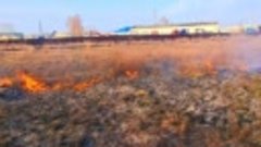 Видео от группы Шадринск регион 45🇷🇺