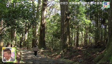 朝だ！生です旅サラダ 240323 動画 奈良の熊野古道巡礼へ！ | 2024年3月23日