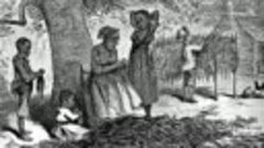 Как чернокожий стал первым рабовладельцем в США