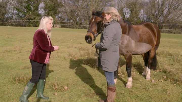 The Pet Psychic : What's Your Dog Thinking? S01E03