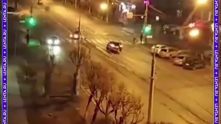Россиянка протащила пса по асфальту на скорости