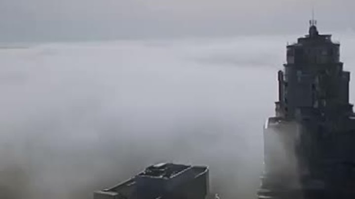 Туман в Воронеже