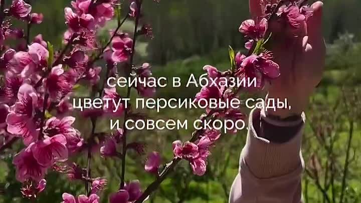 Цветущая Абхазия 🌸 🌺 😍