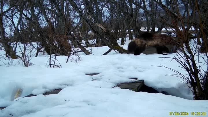 На кордоне Озёрный