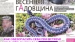 Видео к публикации «Весенняя гАдовщина»