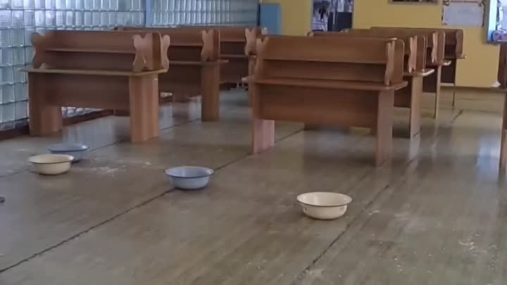 Потоп в школьной столовой