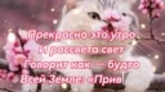 0305_Утро_