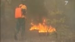 В Красноярском крае усилили меры по тушению лесных пожаров