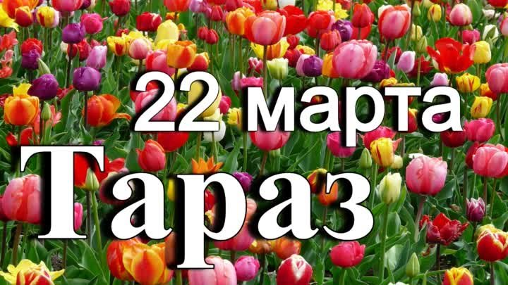 Тараз / Taraz - 22 марта