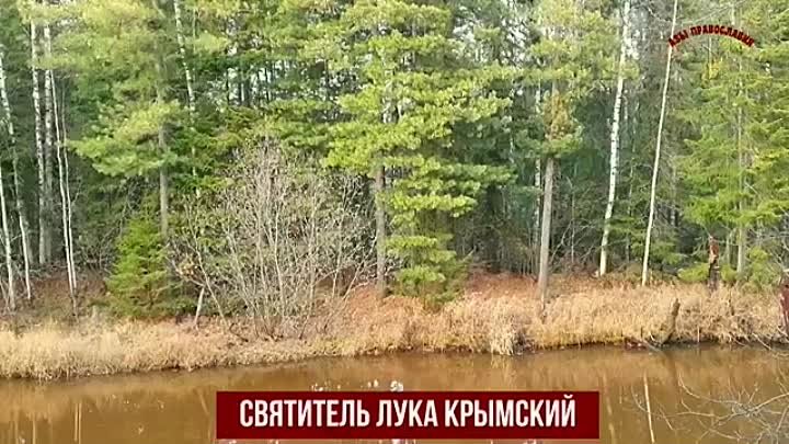 Святитель Лука Крымский