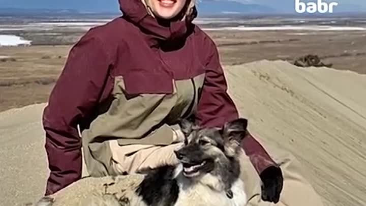 Популярную в сети собаку Йосю убили в Иркутске