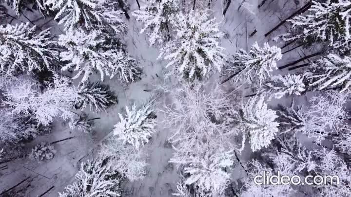 Никонов Максим. Родное поле.