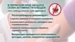 Вакцинация от клещевого энцефалита