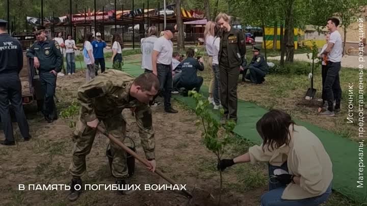 Международную акцию “Сад Памяти” организовали в Мелитополе