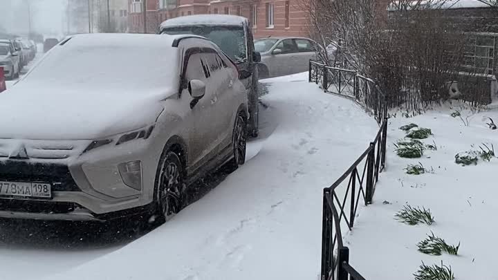 Снежный апрель в Петербурге 😂