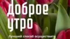 Guten Morgen , allerseits! Доброе всем утро!🌷🩷