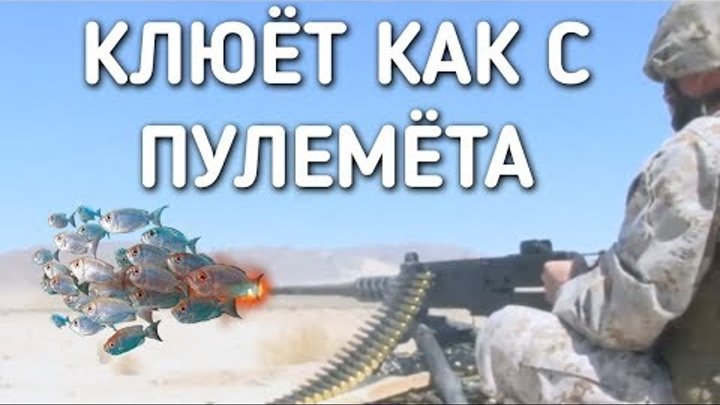 КЛЮЕТ КАК С ПУЛЕМЕТА