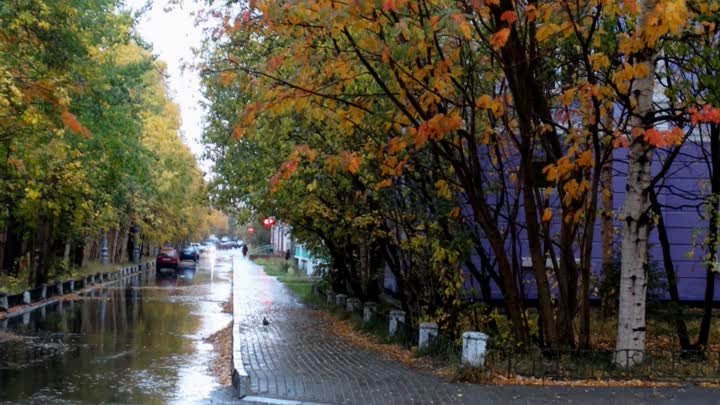 Александр Кир Опадают листья в сентябре