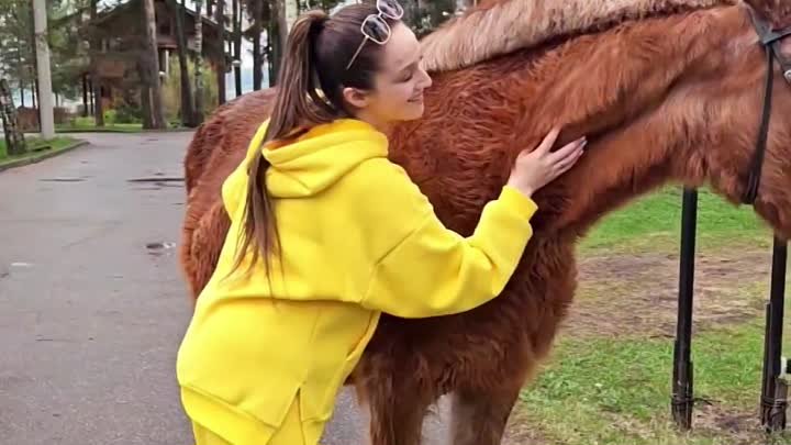 Все о Лагуне Юг в одном видео