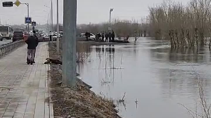 Солнечный в воде. Костанай