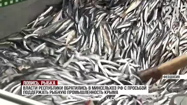 Весенний сезон рыбалки стартовал в Феодосии