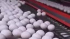 Большую часть поддельных яиц производят в Китае