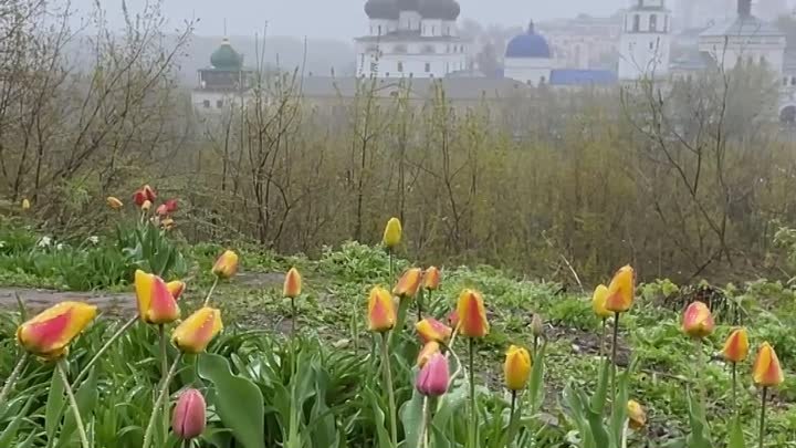 Весна хоть со снегом и дождем, но все равно красивая. Евгений Карепанов