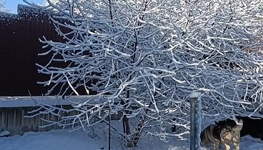 Зимой пусто, весной густо❄️