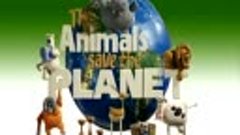 The Animals Save the Planet - Romancing The Bag[1]