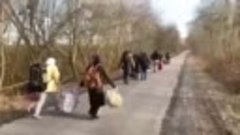 Жители Харьковской области покидают территорию 20 км от гран...