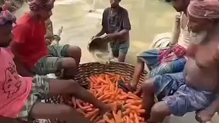 А вы какую морковь берёте? 😉😆