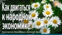 Алексей Орлов и Константин Николаевич-Как двигаться к народн...