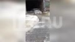 Река Кача затопила дорогу к нескольким СНТ в Емельяновском р...