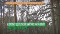 Детская хирургия или городской бор?