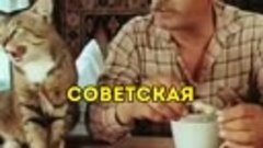 Дед_Ругает_Избалованного_Кота_9.mp4